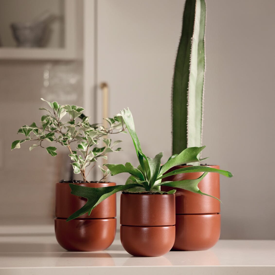 Large Planter