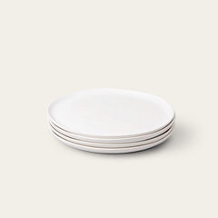 Lunch Plates