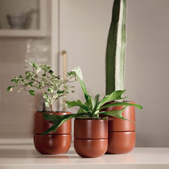 Medium Planter