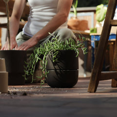 Small Planter
