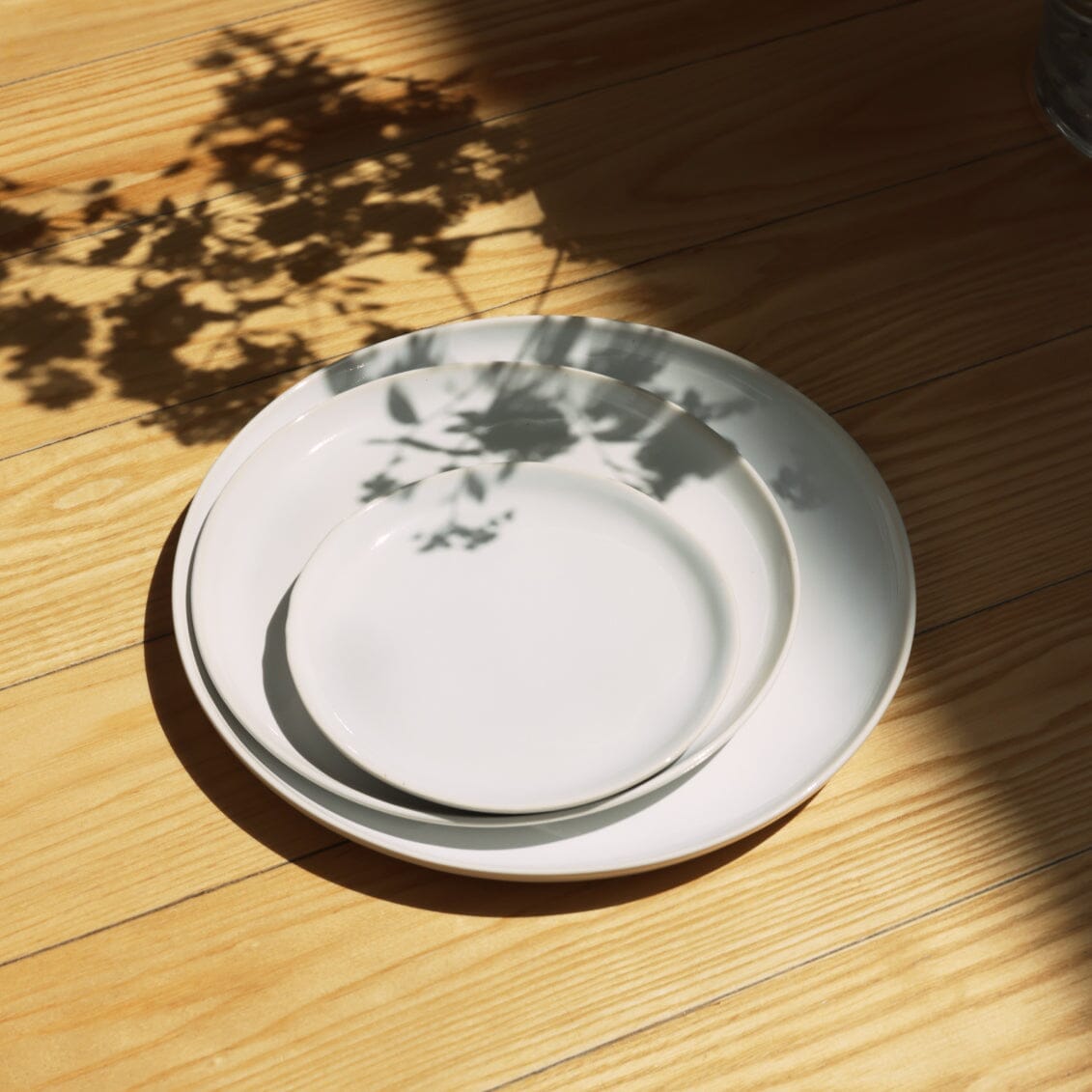 Dinner Plates