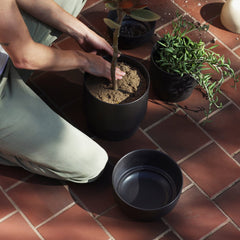Planter